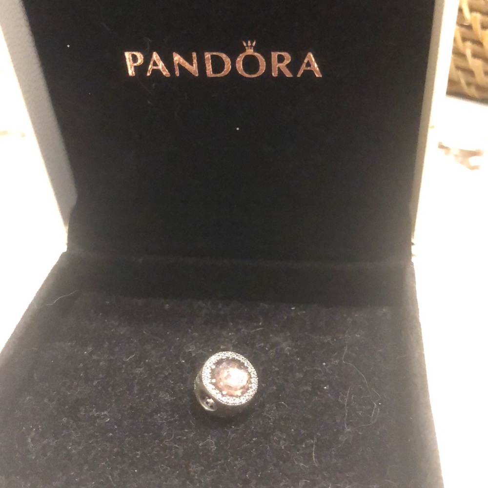 Pandora charm